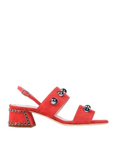 Shop Alberto Gozzi Sandals In Red