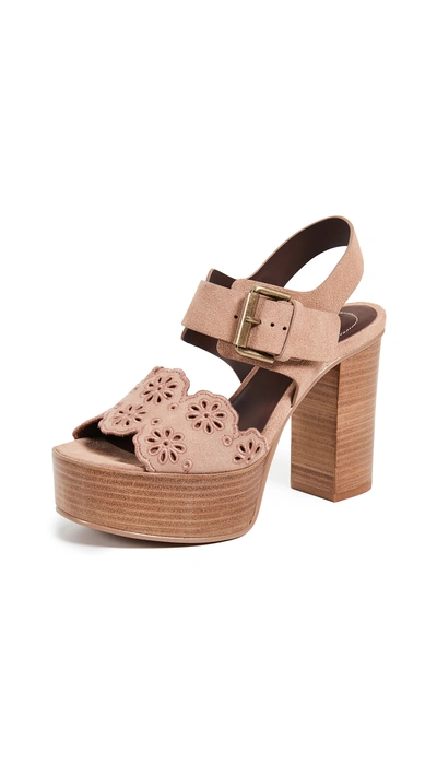 Shop See By Chloé Krysty Foral Platform Sandals In Cipria