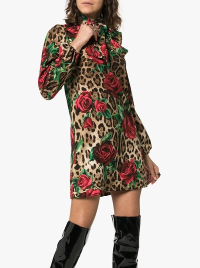 Shop Dolce & Gabbana Rose And Leopard Print Mini Dress In Hkirs Multicolor