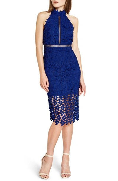 Shop Bardot Gemma Halter Lace Sheath Dress In Cobalt 2
