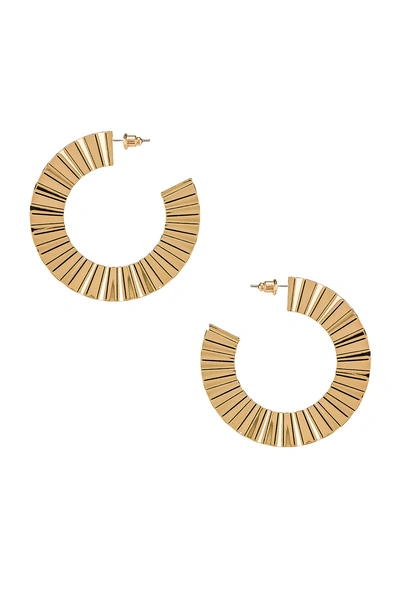 8 Other Reasons Ray Hoops In Gold