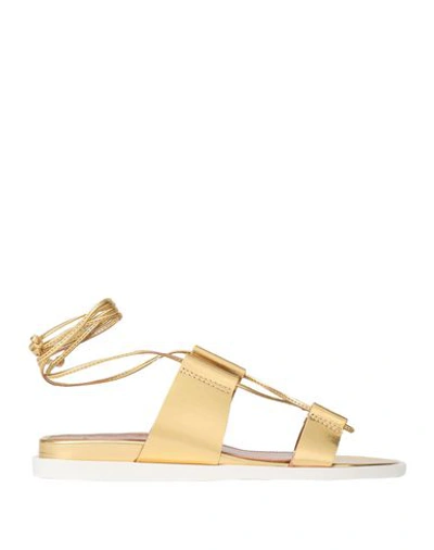 Shop Bcbgmaxazria Woman Sandals Gold Size 6 Soft Leather