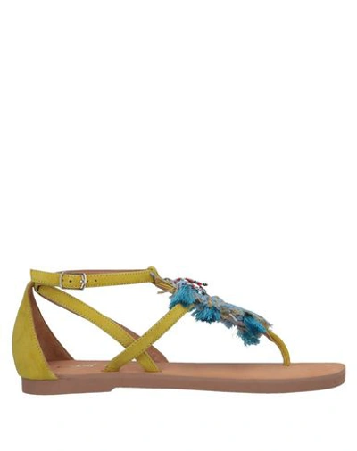 Shop Coral Blue Flip Flops In Yellow