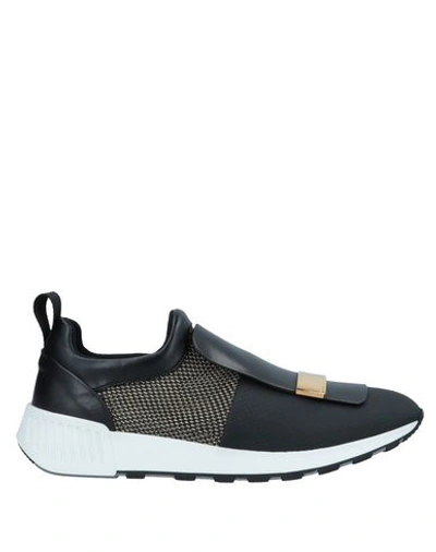 Shop Sergio Rossi Sneakers In Black