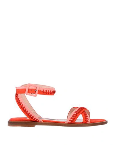 Shop Andrea Gomez Sandals In Red