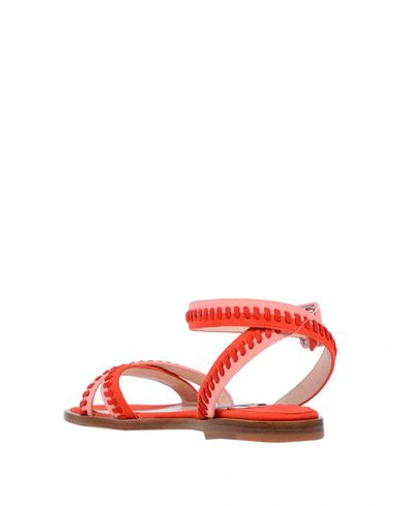 Shop Andrea Gomez Sandals In Red