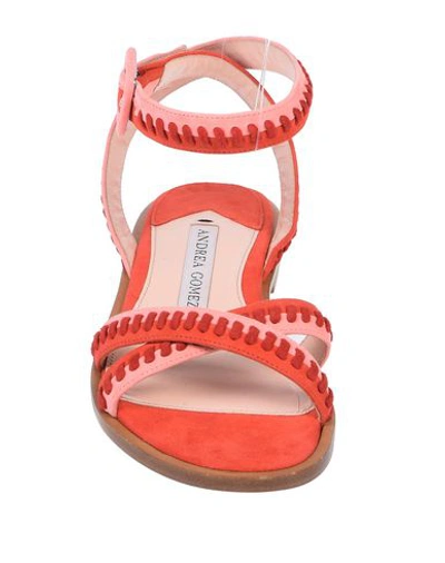 Shop Andrea Gomez Sandals In Red