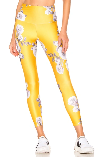 Shop Onzie High Basic Midi Legging In Golden Floral
