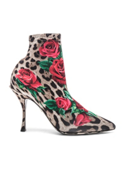 Shop Dolce & Gabbana Leo Rose Print Sock Booties In Animal Print,brown,red,floral In Cheetah