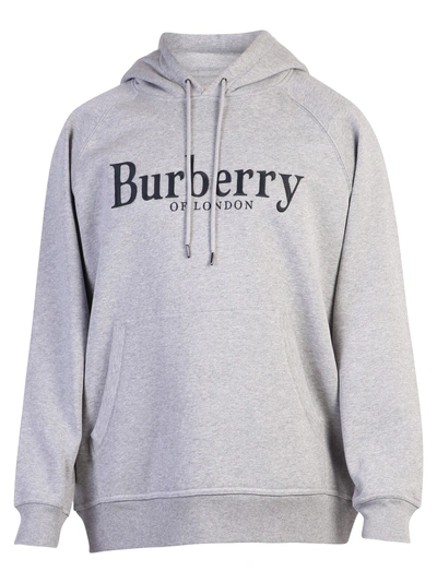 Shop Burberry Branded Hoodie In Grey