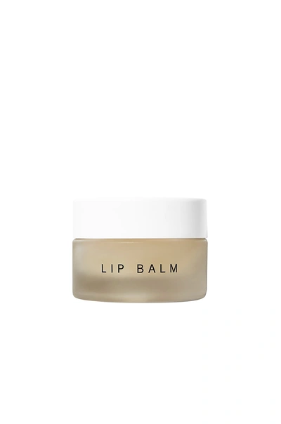 Shop Dr Barbara Sturm Lip Balm In N,a