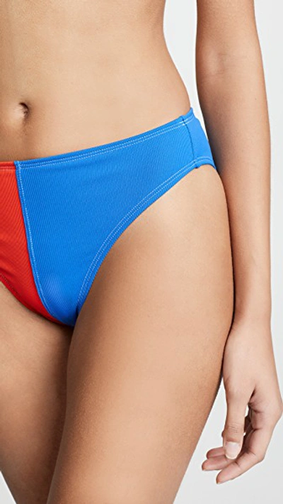 Shop Ack Amore Bikini Bottoms In Multi