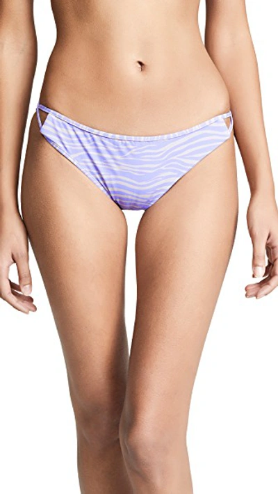 Shop Ack Linea Bikini Bottoms In Tigre Lilla