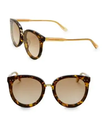 Shop Bottega Veneta Women's Timeless Elegance 62mm Cat Eye Sunglasses In Havana Brown