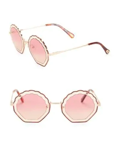 Shop Chloé Women's Tally 56mm Shell Sunglasses In Havana Pink