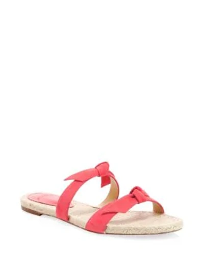 Shop Alexandre Birman Clarita Bow Suede Flat Sandals In Coral
