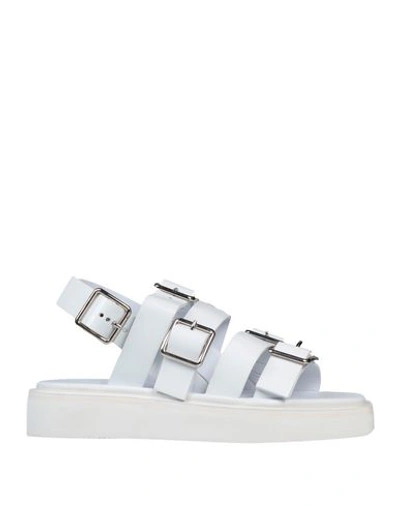 Shop Jil Sander Sandals In White