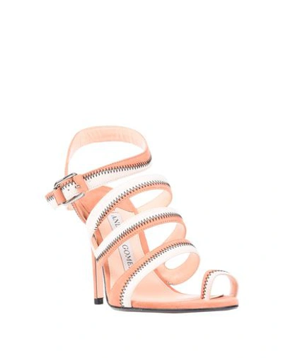 Shop Andrea Gomez Flip Flops In Pale Pink