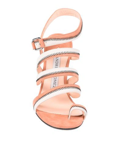 Shop Andrea Gomez Flip Flops In Pale Pink