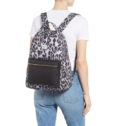 Shop Herschel Supply Co Nova Mid Volume Backpack - Black In Snow Leopard/ Black