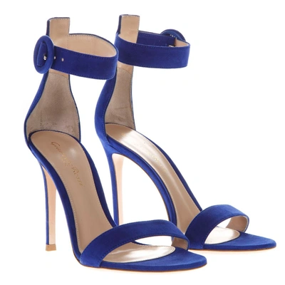 Shop Gianvito Rossi Portofino Blue Suede Sandals