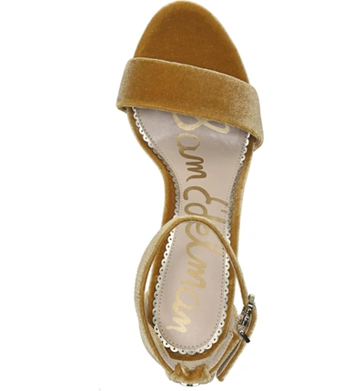 Shop Sam Edelman Yaro Ankle Strap Sandal In Tuscan Yellow Velvet