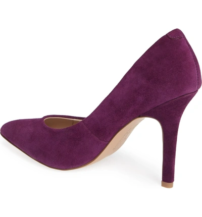 Shop Charles By Charles David Maxx Pointy Toe Pump In Regal Purple Suede