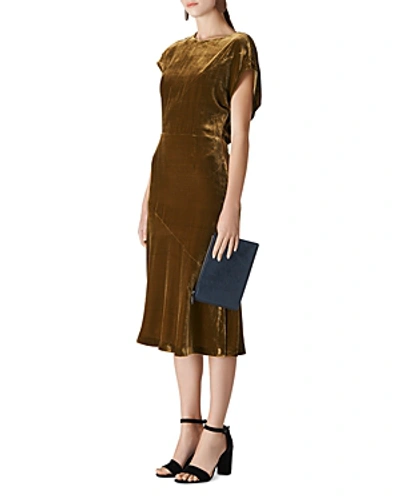 Shop Whistles Mina Velvet Dress In Gold