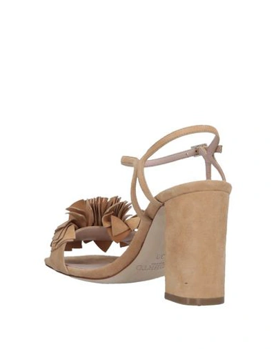 Shop Alberto Gozzi Sandals In Camel