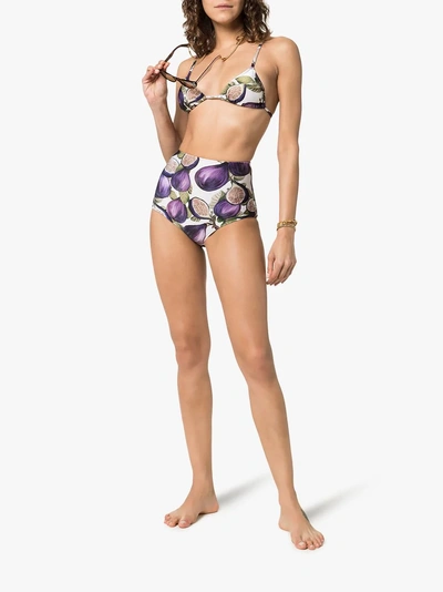 Shop Adriana Degreas Fig Print High Waist Bottom Bikini In Purple