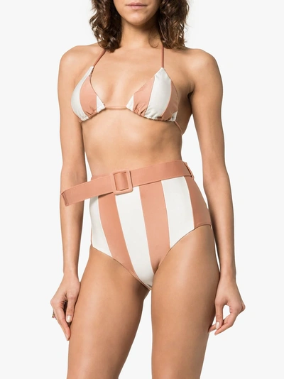 Shop Adriana Degreas Porto Striped Belted Waist Bikini Set In Pink