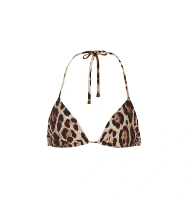 Shop Dolce & Gabbana Leopard-printed Bikini Top In Brown