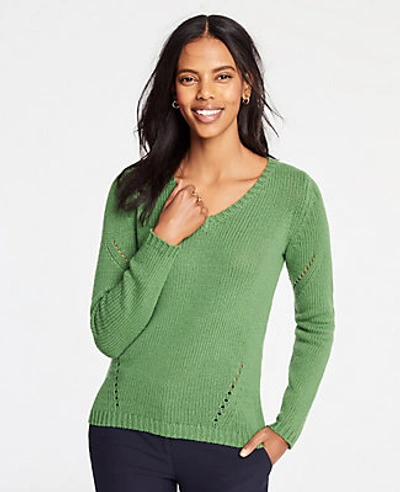 Shop Ann Taylor Petite Pointelle V-neck Sweater In Fresh Willow