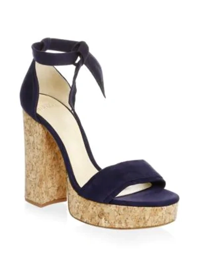 Shop Alexandre Birman Celine Suede Platform Sandals In Night Shade