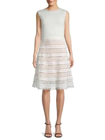Shop Oscar De La Renta Crochet Cotton A-line Dress In Ivory