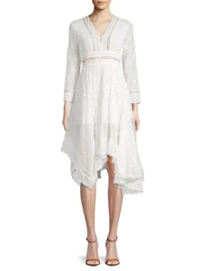 Shop Allison New York Embroidered Asymmetrical Knee-length Dress In Ivory
