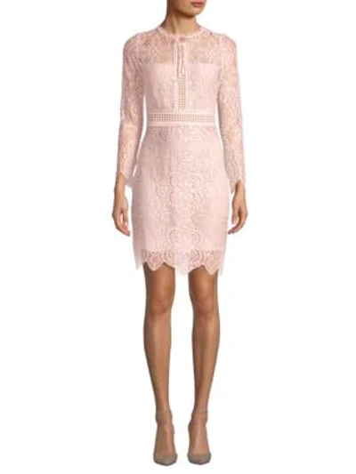 Shop Few Moda Scalloped Lace Cotton Bodycon Dress In Pink