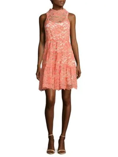 Shop Erin By Erin Fetherston Posie Scalloped Lace Dress In Coral