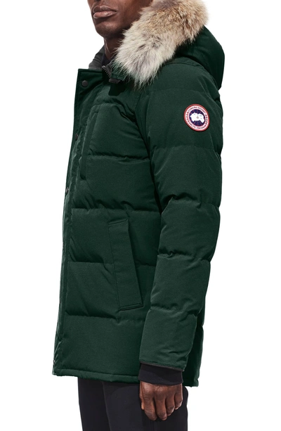 Shop Canada Goose 'carson' Slim Fit Hooded Packable Parka With Genuine Coyote Fur Trim In Spruce