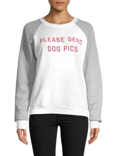 Shop Wildfox Please Send Dog Pics Sweatshirt In Clean White