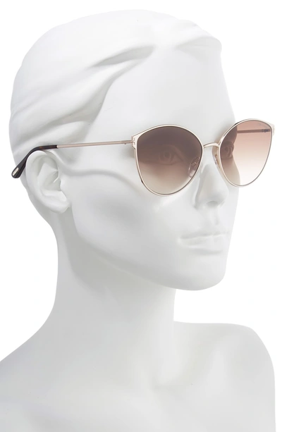 Shop Tom Ford Zeila 60mm Mirrored Cat Eye Sunglasses In Rose Gold/ Dark Havana/ Brown