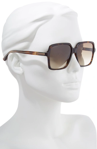 Shop Gucci 56mm Square Sunglasses - Dk Havana/cry/brown Gradient