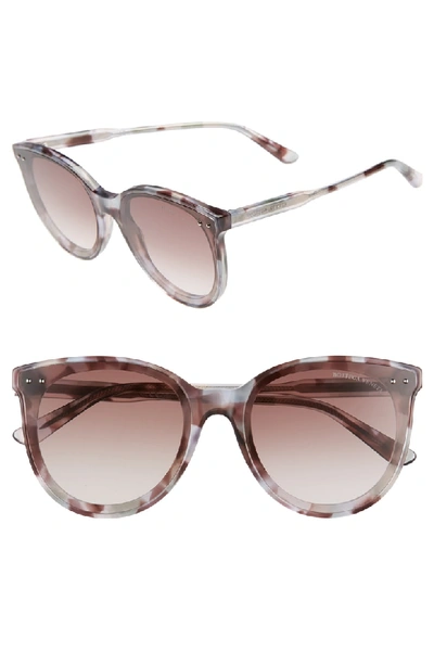 Shop Bottega Veneta 61mm Cat Eye Sunglasses - Violet Havana