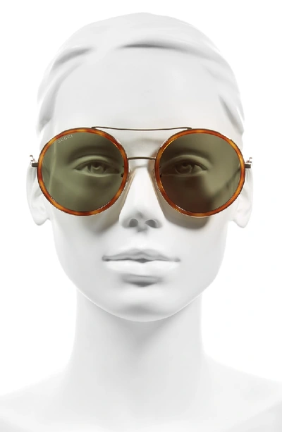 Shop Gucci 56mm Round Sunglasses - Havana/ Green