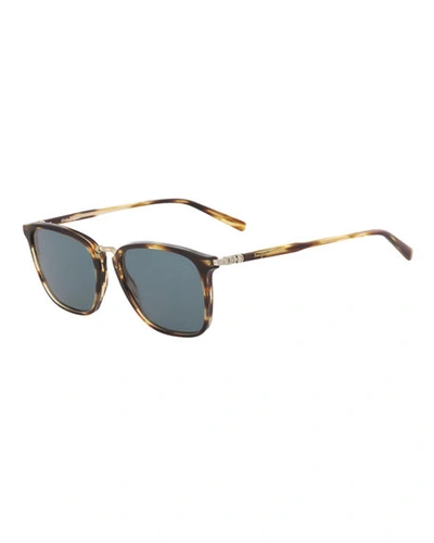 Shop Ferragamo Men's Timeless Metal-bridge Sunglasses In Brown Pattern