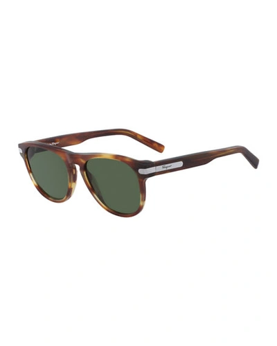 Shop Ferragamo Men's Classic Thick-frame Acetate Sunglasses In Brown
