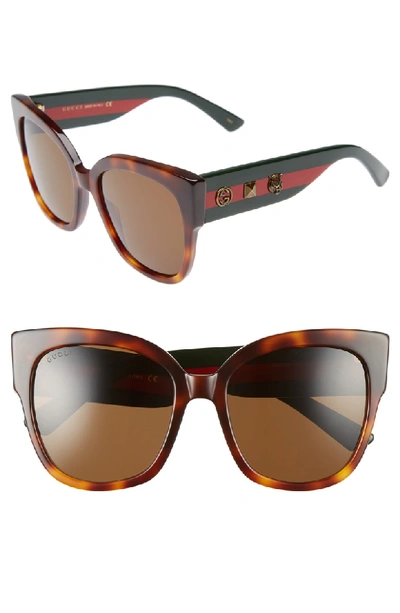 Shop Gucci 55mm Butterfly Sunglasses - Havana/ Brown