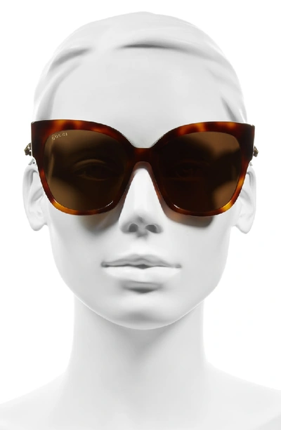 Shop Gucci 55mm Butterfly Sunglasses - Havana/ Brown