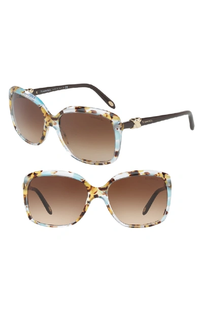 Shop Tiffany & Co 58mm Rectangular Sunglasses - Havana Blue Gradient