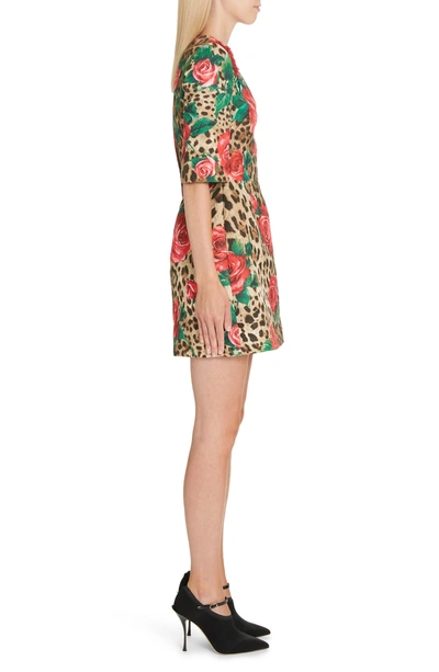 Shop Dolce & Gabbana Embellished Rose & Leopard Print Brocade Dress In Hkirs Rose Leo